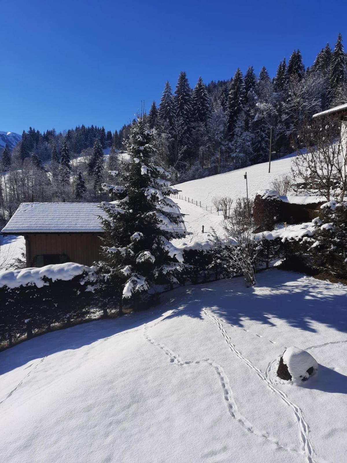 Hotel Berghof Mehlan Fischen im Allgaeu Camera foto